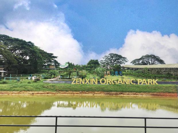 43065445_2278730915672639_6177004089453314048_n