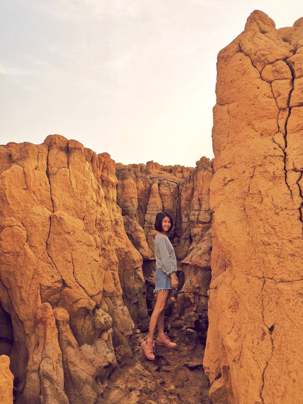 Processed with VSCO with  preset